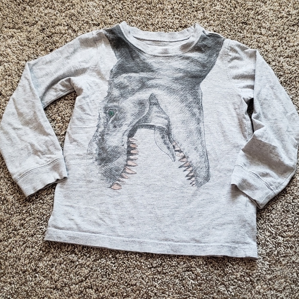 Boys dinosaur longsleeve